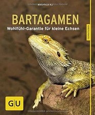 Bartagamen: Wohlfühl-Garantie