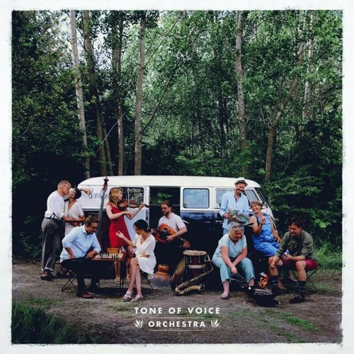 Tone voice orchestra - lp,