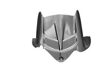 Carbon hinteres Schutzblech