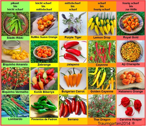 Chili samen sorten - 20,