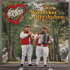 Schallplatte LP Vinyl 12" Die