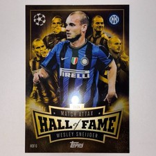 Wesley Sneijder Hall Of Fame