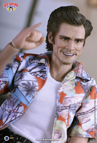 Ace ventura pet detective - ventura,