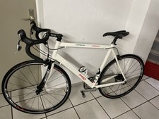Rennrad Carbon Pro Bianco Shimano Ultegra Ausstattung