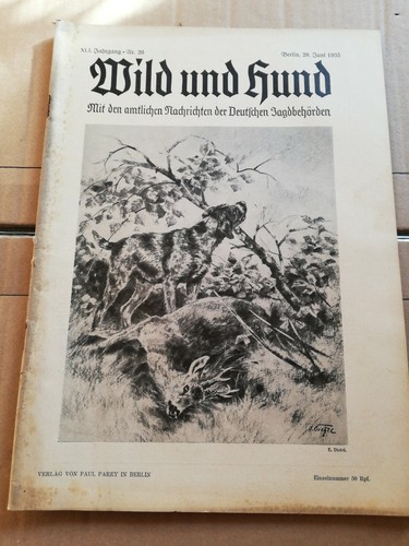Wild und hund - wild,