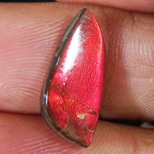 Ammolith Cabochon 3.75 Karat