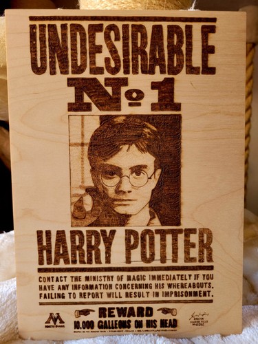 Harry potter - harry,