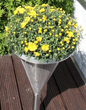 Gartenvase Blumentopf Pflanzentopf Edelstahl