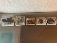Mineralien Sammlung Konvolut