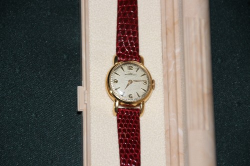 Iwc schaffhausen - iwc,
