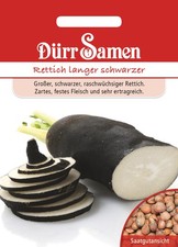 Winterrettich Langer schwarzer