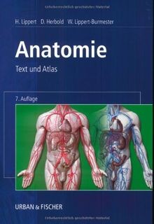 Anatomie text und atlas von - anatomie:,