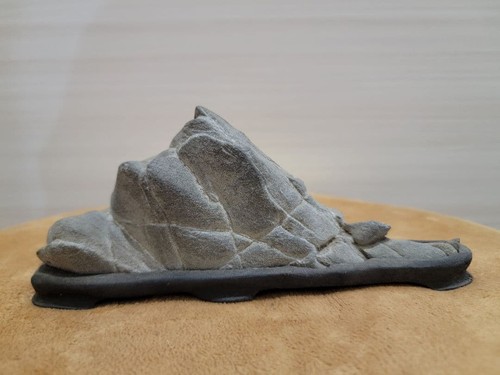 Suiseki bonseki bonsai - bonseki,
