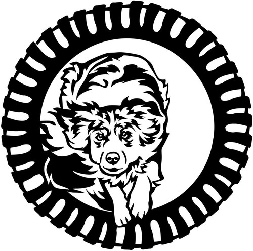 Australian shepherd aufkleber - shepherd,