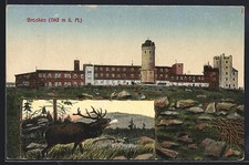 Ansichtskarte Brocken, Blick