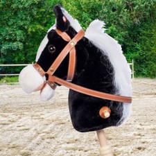 Steckenpferd Hobby Horse