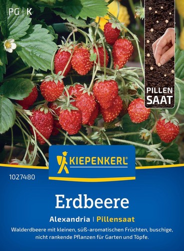 Kiepenkerl erdbeere alexandria - kiepenkerl,