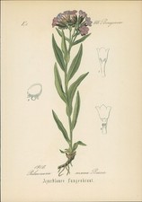 Chromolithographie : Blaues