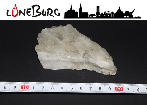 Gipskristall aus lüneburg - gipskristall,