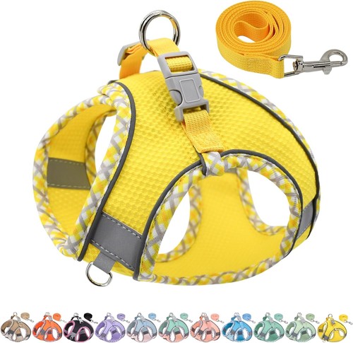 Hundegeschirr und leinen set - und,