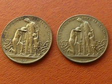 2 Inflationsmedaillen 1923 „Des Deutschen Volkes Leidensweg“