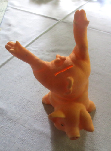 Witziges sparschwein spardose - witziges,