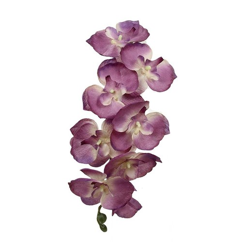 Künstliche kopf - künstliche, 8