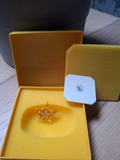 Swarovski SCS Jahresfigur 2025