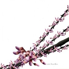 Luciano - Yamoré Remix (Vinyl