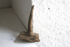 Schwemmholz Treibholz Skulptur