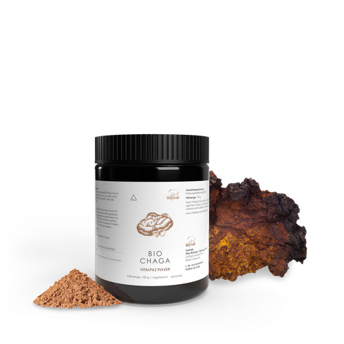 Pilze wohlrab bio - bio, chaga