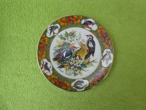 Sammelteller spechte zwischen - sammelteller,