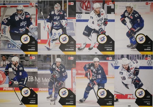 Del playercards signiert - del,