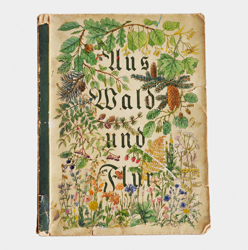 Aus wald und - aus, walter