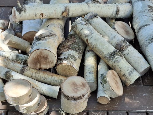 Holz birke lot für deko - holz,