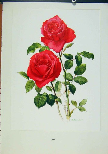 Original alte antike