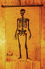 Große Wandtafel zwei Bilder Historisch