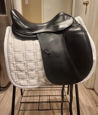 17" Prestige X Helen Dressage