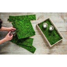 Dekomoos  Naturmoos auf