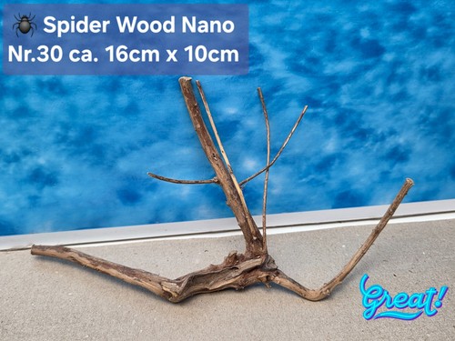 Nano spiderwood - 🪸,