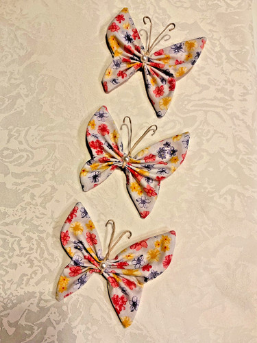 Schmetterling tilda - x,