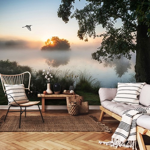 See wald nebel - see, natur