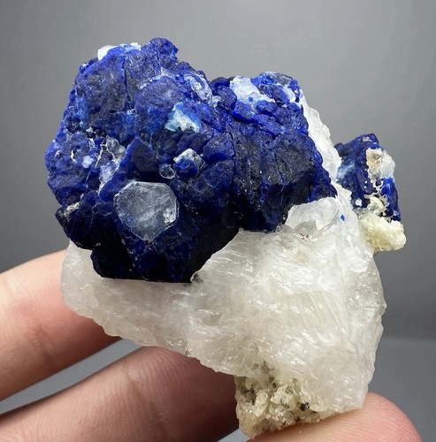 Seltene königsblaue - 48,