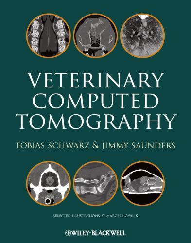 Veterinary computed tomography - veterinary,