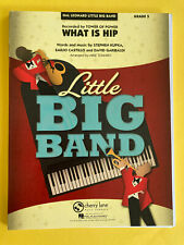 What Is Hip, Stephen Kupka