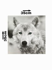 Wolf Bild Leinwand