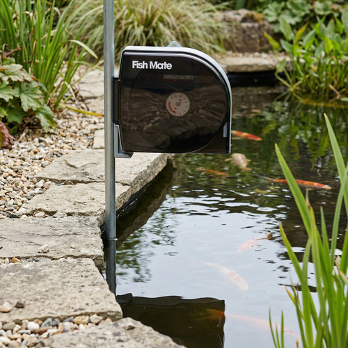 Fish mate tage - fish,