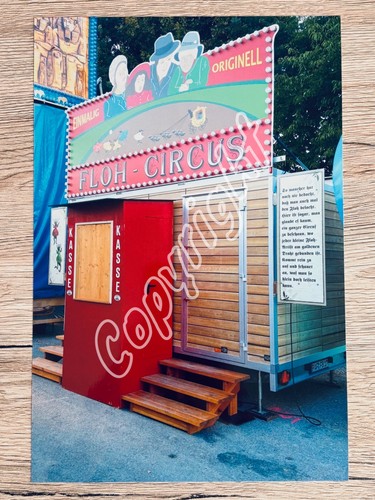Xxl foto floh circus - circus, birk