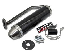 Auspuffanlage Giannelli Endtopf Carbon mit ABE für Beta