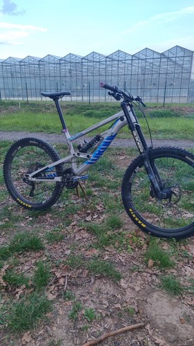 Canyon torque dhx - torque,